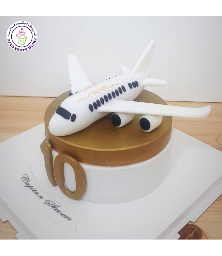 Airplane Themed Cake - 3D Cake Topper - Etihad