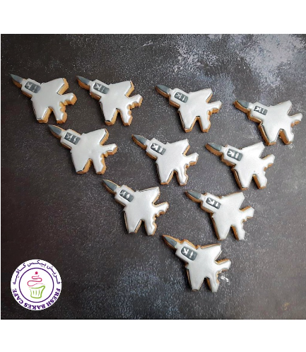 Airplane Themed Cookies - Jet F15