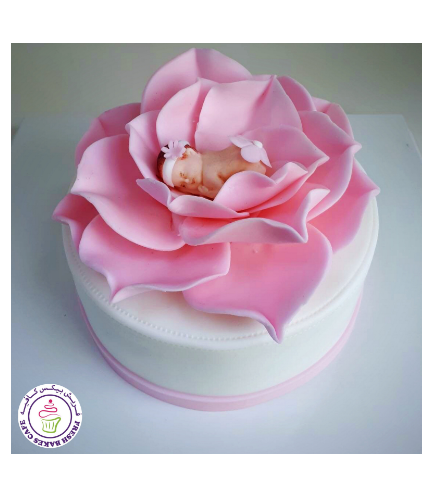 Cake - Baby Shower - Baby in Rose