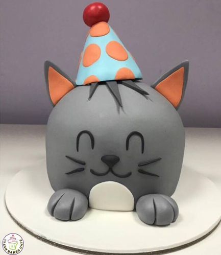 Cake - Party Hat - Cat - 2D Dome Cake 01