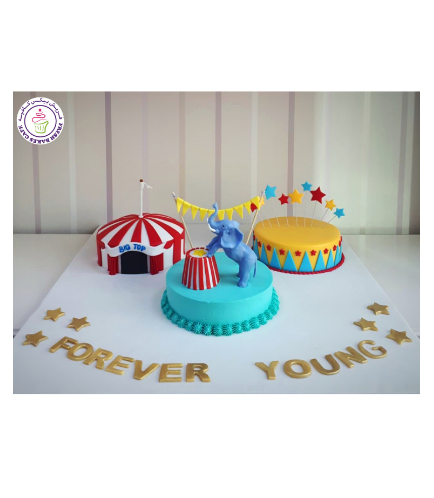 Circus/Carnival Themed Cakes
