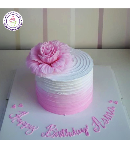 Cream Ombre Cake - Peony - Pink