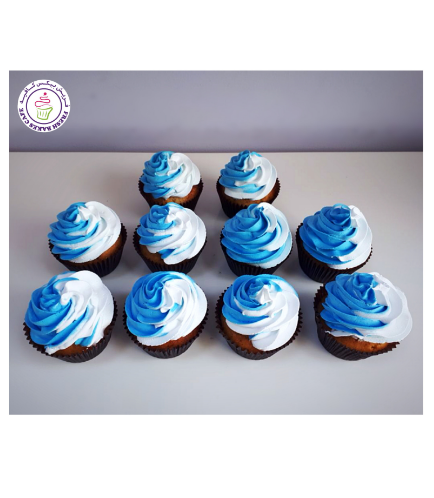 Cupcakes with Colored Icing - 2-Tone 02