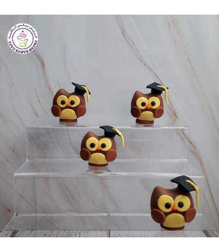 Cake Pops w/o Sticks - Owls