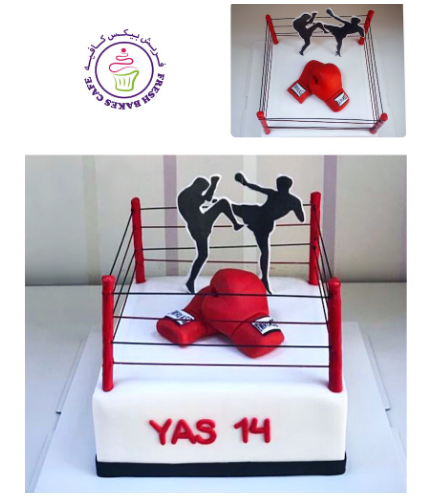 Kickboxing Themed Cake