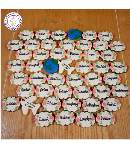 Pilot Themed Cookies - Planes, Countries, & Earth Globe