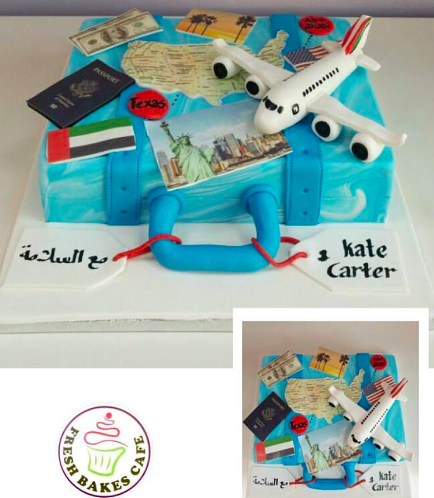 Cake - Airplane - 3D Suitcase Cake
